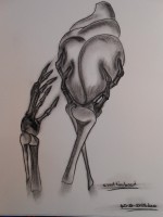 /album/schmieden-woche-51-2012/idee-jpg/